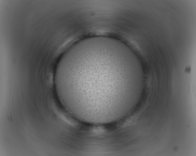 X0000092030262200709271615