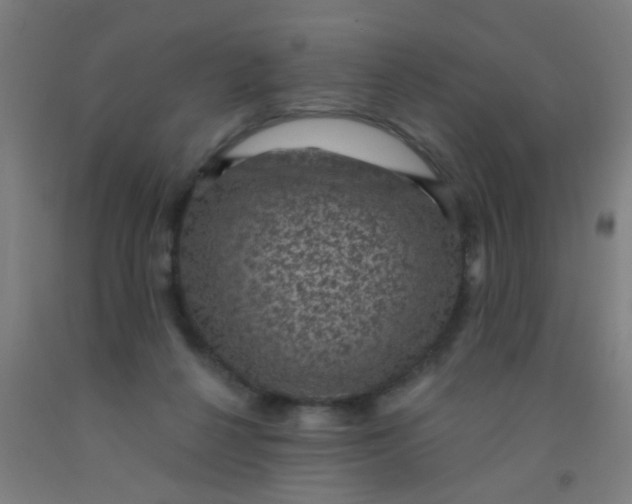 X0000092030264200709271615