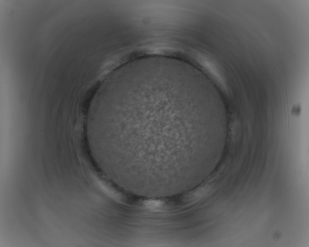 X0000092030265200709271615