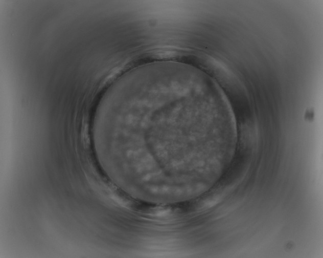 X0000092030267200709271615