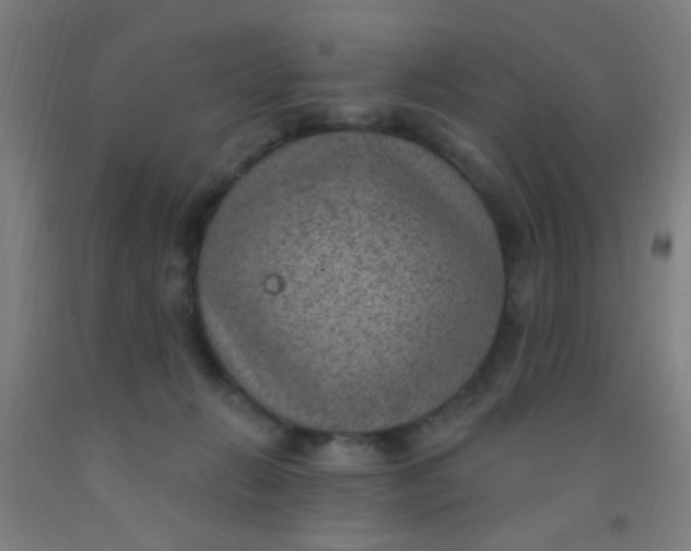 X0000092030270200709271615