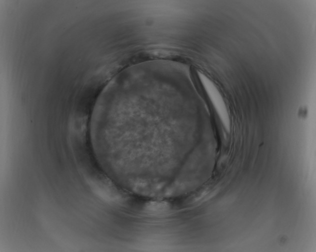 X0000092030271200709271615