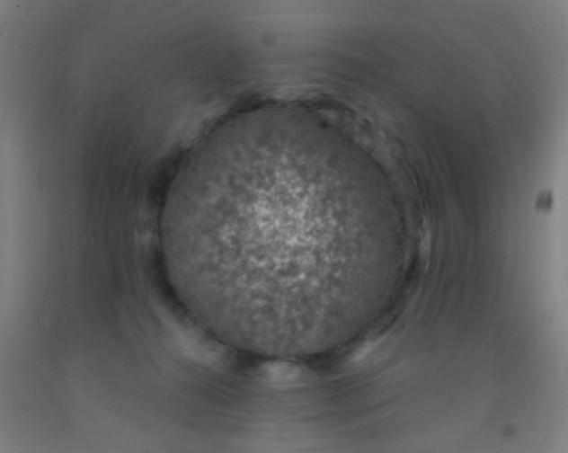 X0000092030272200709271615