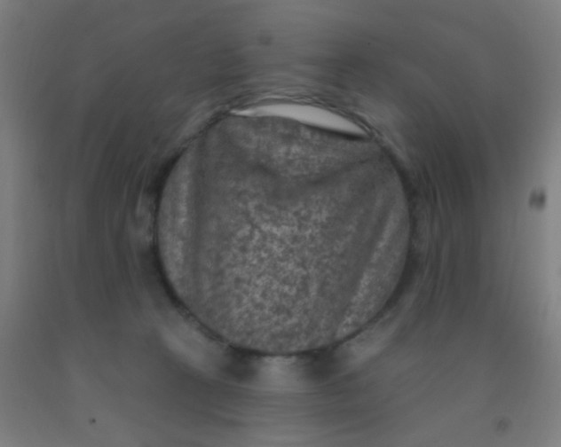 X0000092030273200709271615