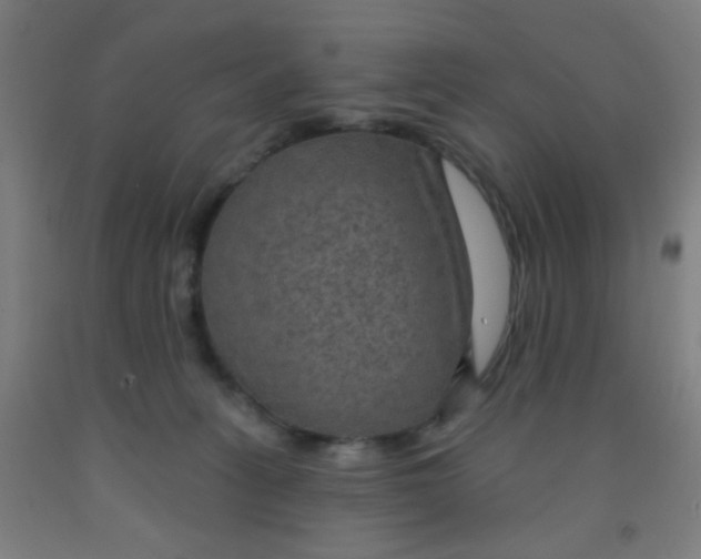 X0000092030275200709271615