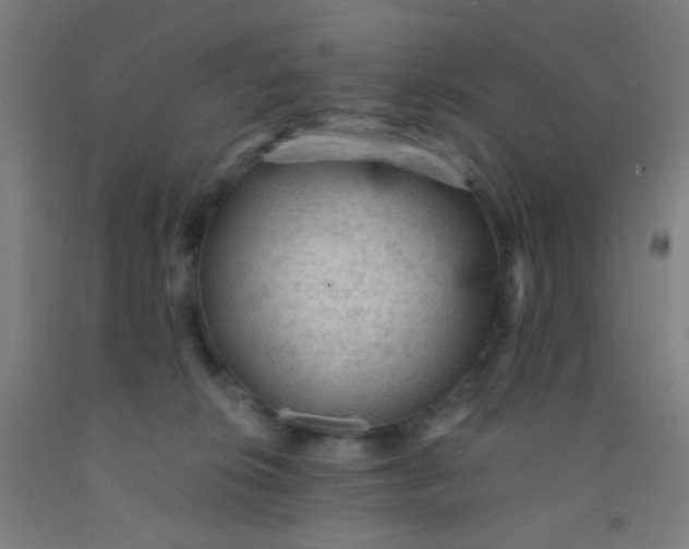 X0000092030276200709271615