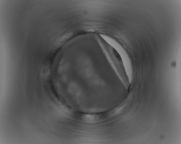 X0000092030277200709271615