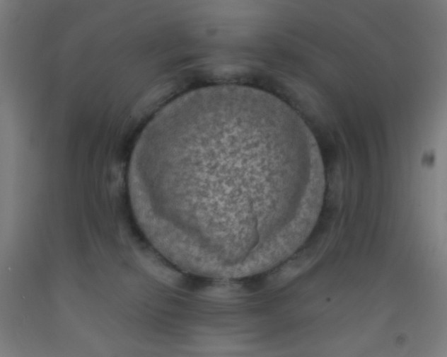 X0000092030278200709271615