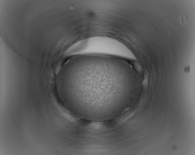 X0000092030280200709271615