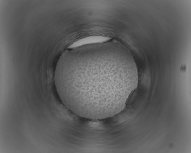 X0000092030283200709271615