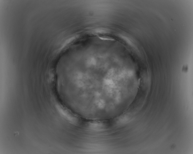 X0000092030284200709271615