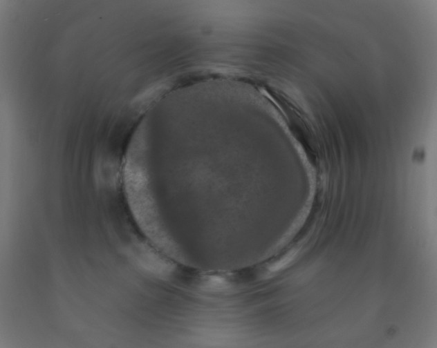 X0000092030285200709271615