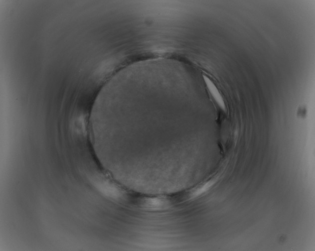 X0000092030286200709271615