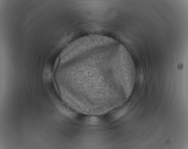 X0000092030287200709271615