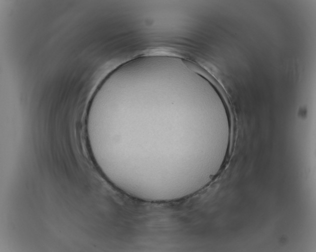 X0000092030289200709271614