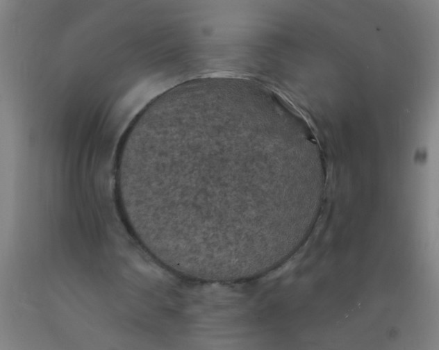 X0000092030290200709271614