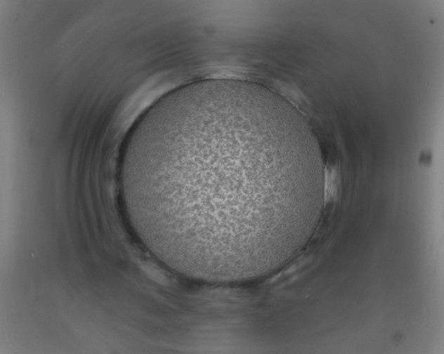 X0000092030291200709271614