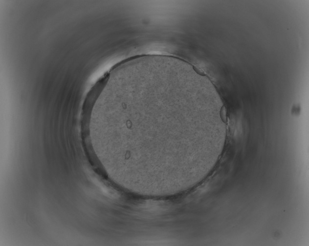 X0000092030292200709271614