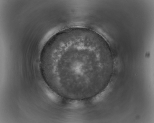 X0000092030293200709271614