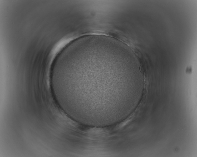 X0000092030294200709271614