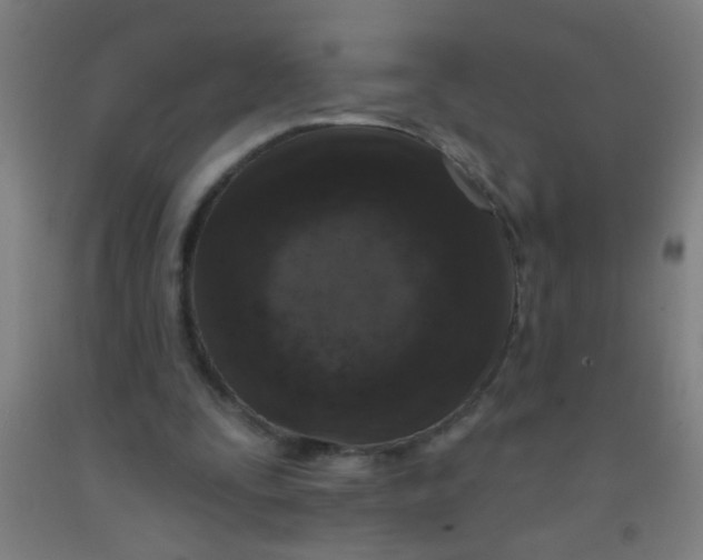 X0000092030295200709271614