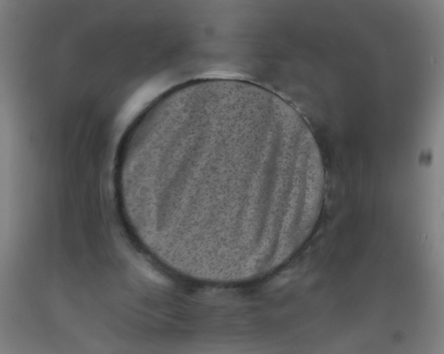 X0000092030296200709271614