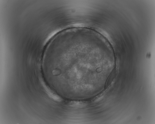 X0000092030297200709271614