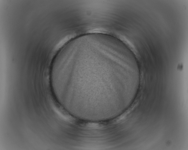 X0000092030298200709271614