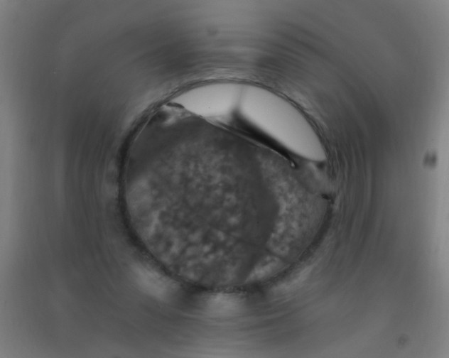 X0000092030303200709271614