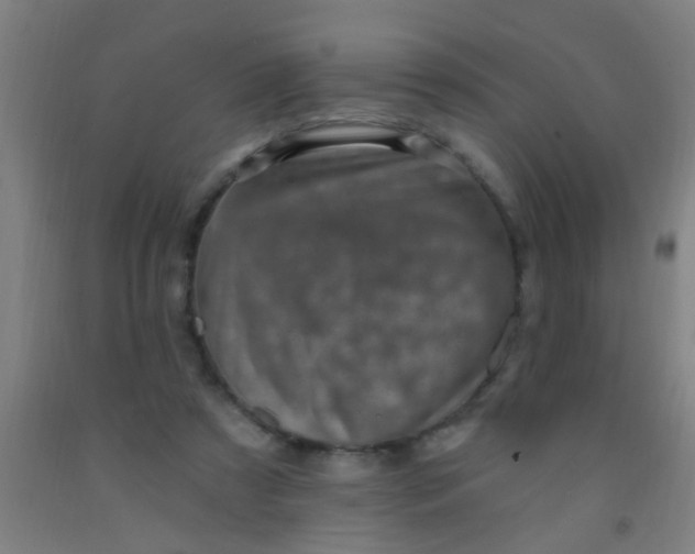 X0000092030305200709271614