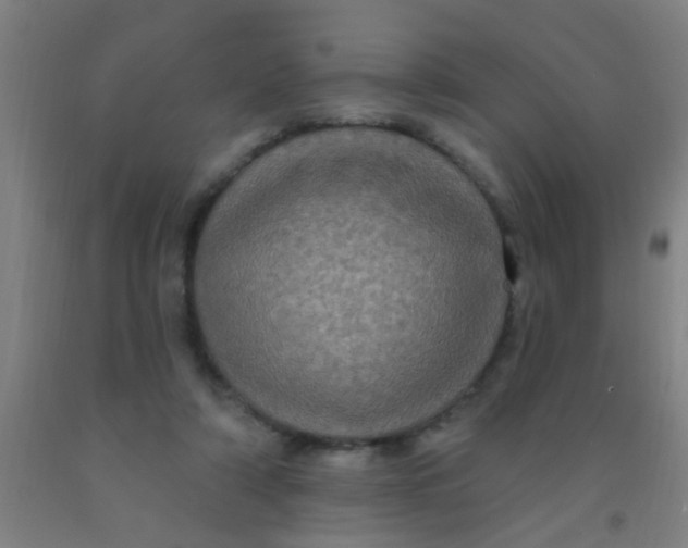 X0000092030306200709271614