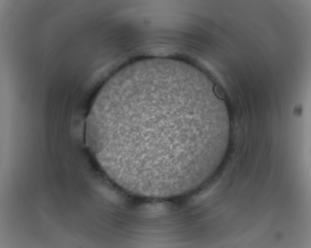 X0000092030307200709271614