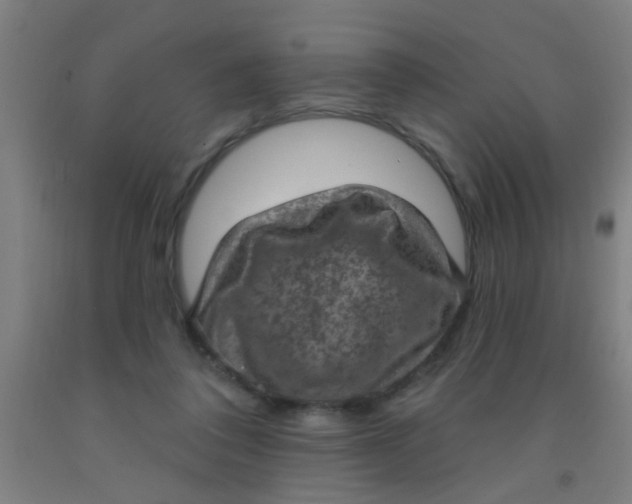 X0000092030308200709271614