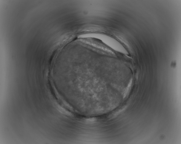 X0000092030309200709271614