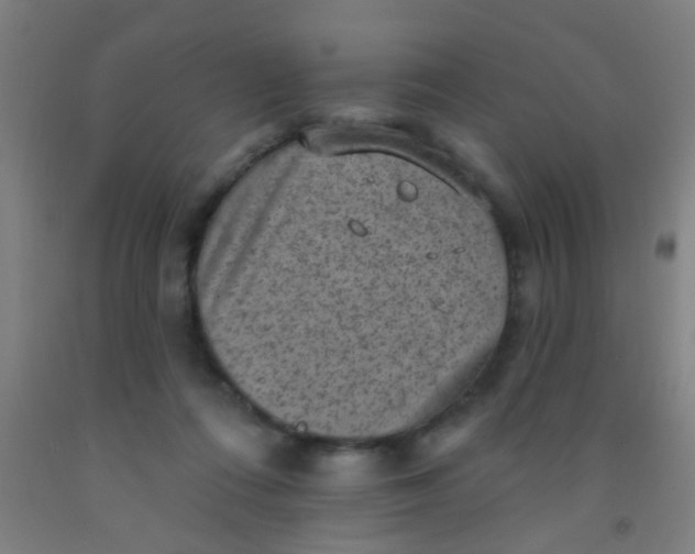 X0000092030312200709271614