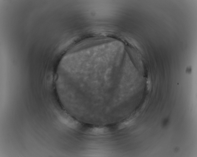 X0000092030314200709271614