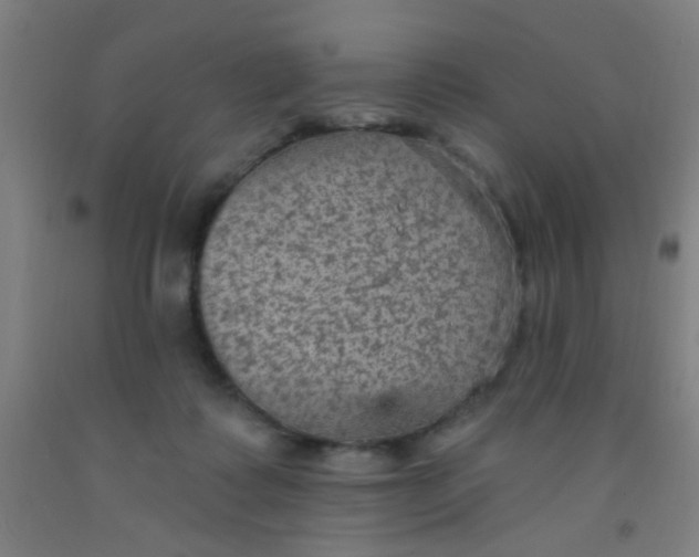 X0000092030315200709271614