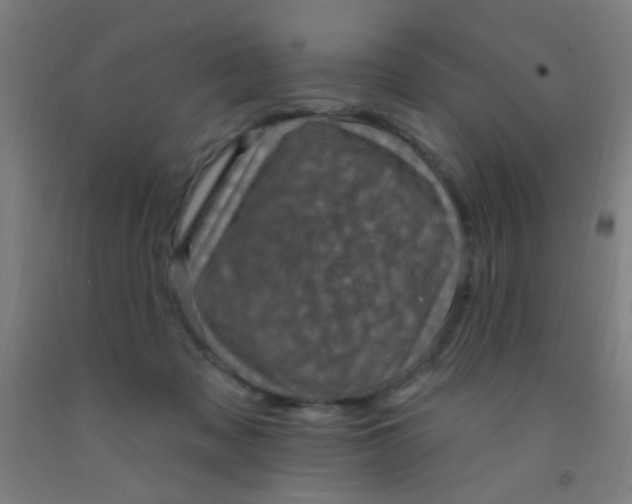 X0000092030317200709271614