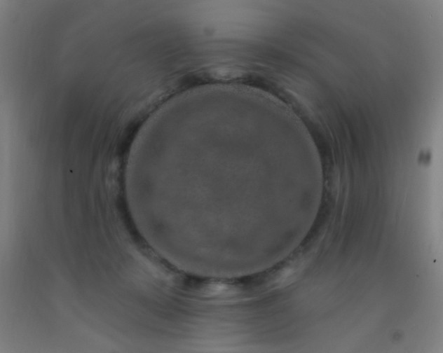 X0000092030319200709271614