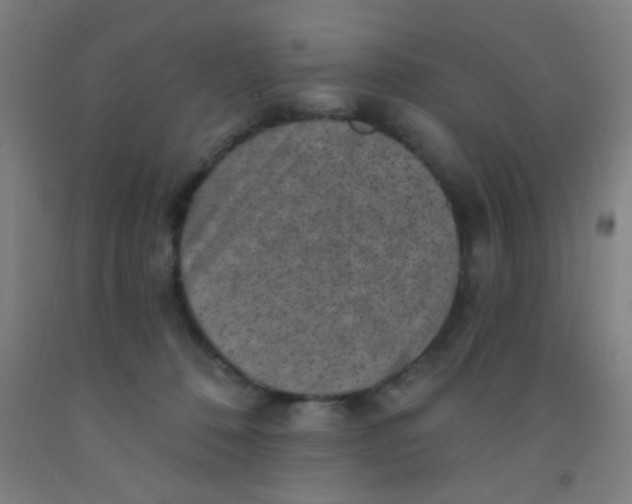 X0000092030320200709271614