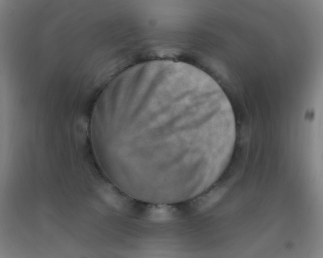 X0000092030321200709271614