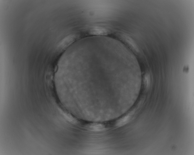 X0000092030322200709271614