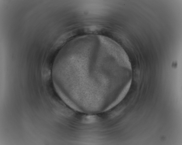 X0000092030324200709271614