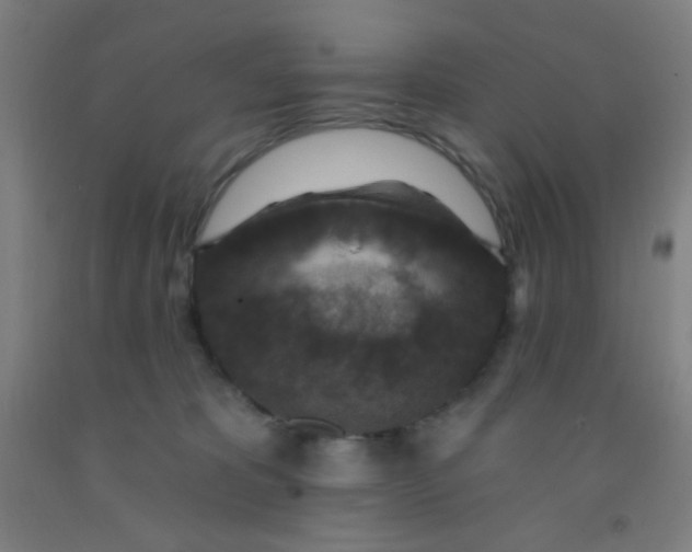 X0000092030325200709271614