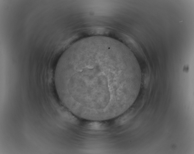 X0000092030326200709271614