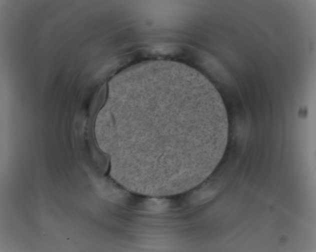 X0000092030328200709271614