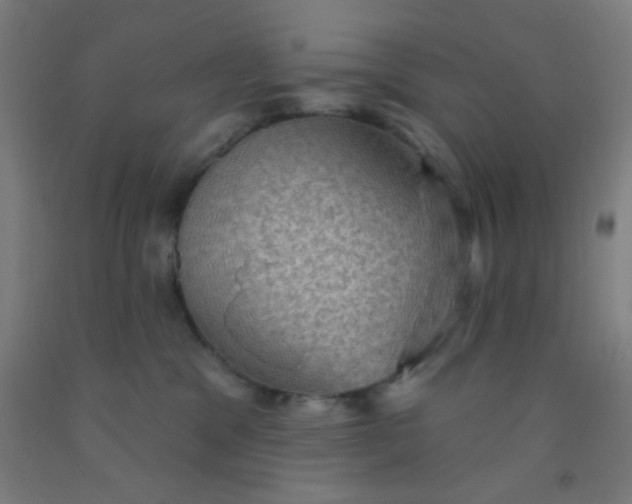 X0000092030329200709271614