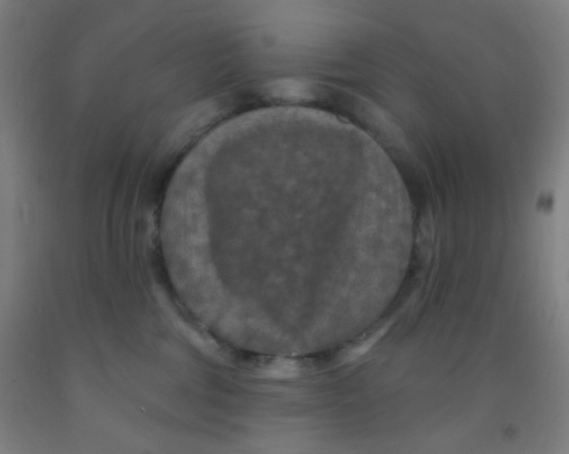 X0000092030330200709271614