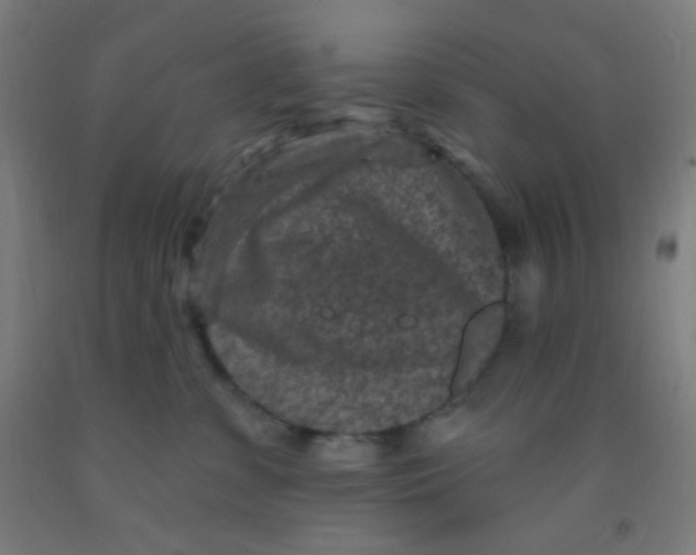 X0000092030331200709271614