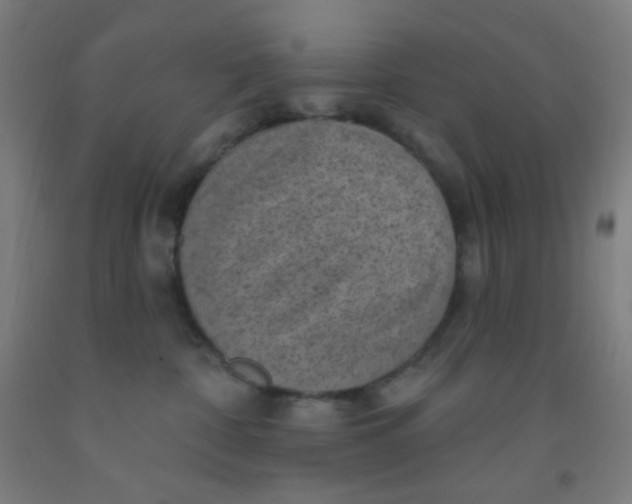 X0000092030332200709271614